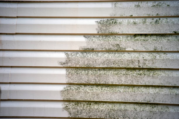 Trusted Warrenton, GA Junk Removal Experts